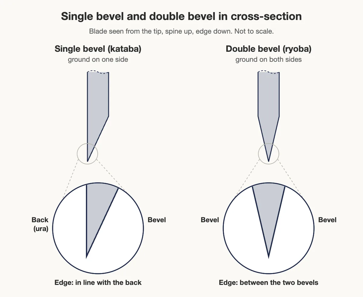 Cross-section diagram comparing a single-bevel and a double-bevel knife edge